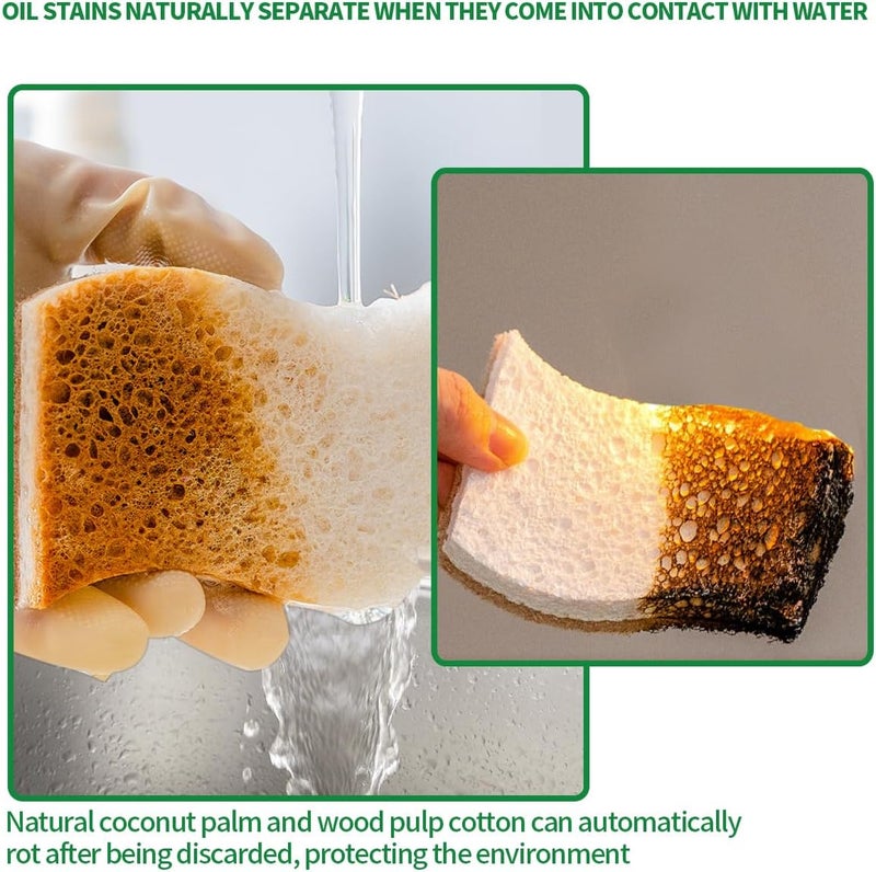 PUCITY Sponges Kitchen Natural Dish Sponge Plant-Based Biodegradable Compostable Cellulose with Coconut Scrubber Sponge Non Scratch Eco Friendly Kitchen sponges for Kitchen Dishes（Pack of 24） - Image 4